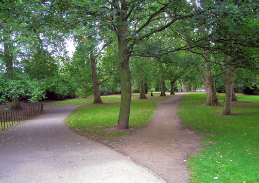 While Strategy plans, Culture decides...